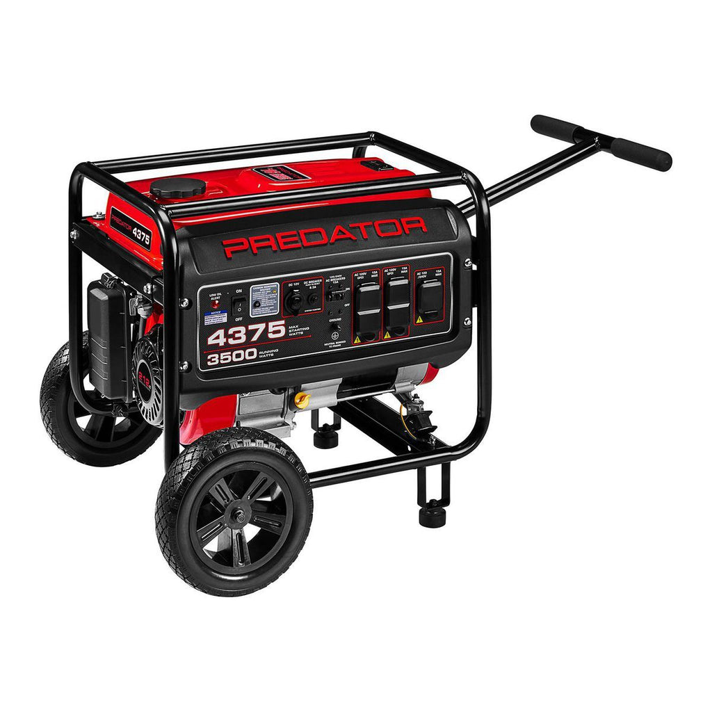 4375 Watt Gas-Powered Portable Generator L4988